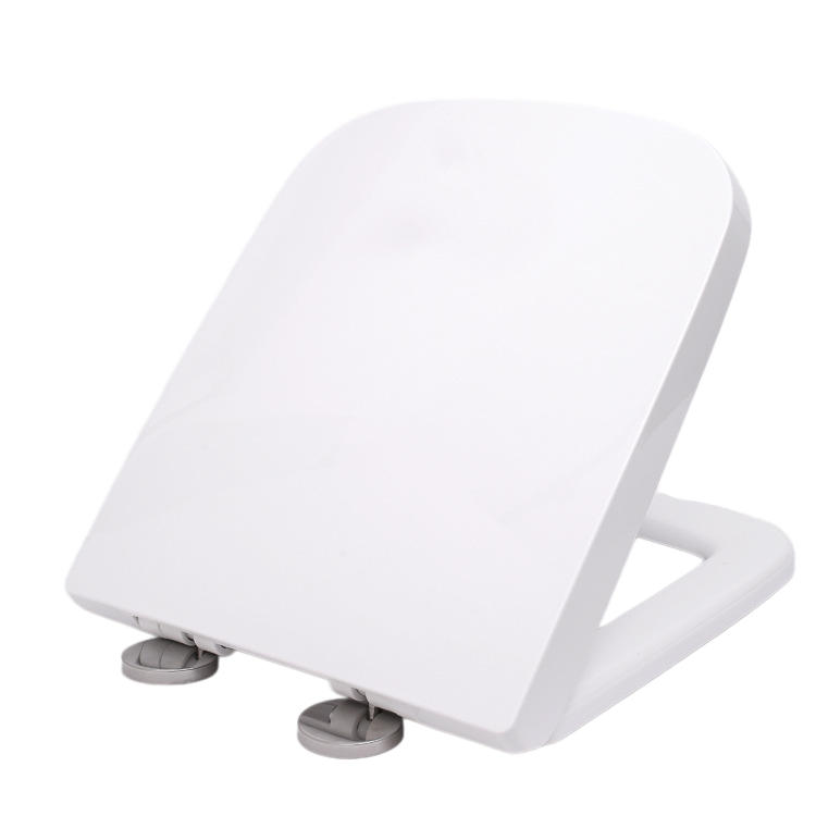 https://shopcdnalpha.grainajz.com/category/485092/4435/c8cf18318b6c5bcbcba0eae8d9dc5c74/plastic_toilet_seat_%281%29.png