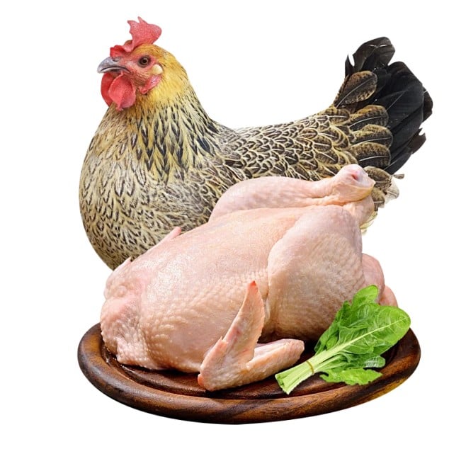 Frozen Whole Heavy Hen