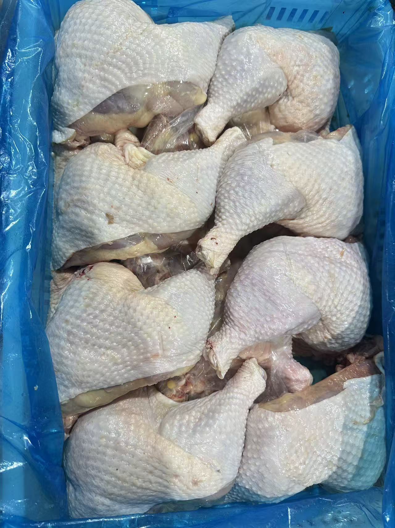 Frozen Heavy Hen Leg Quarter 