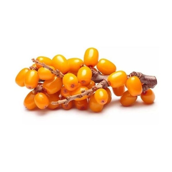 Frozen Sea Buckthorn