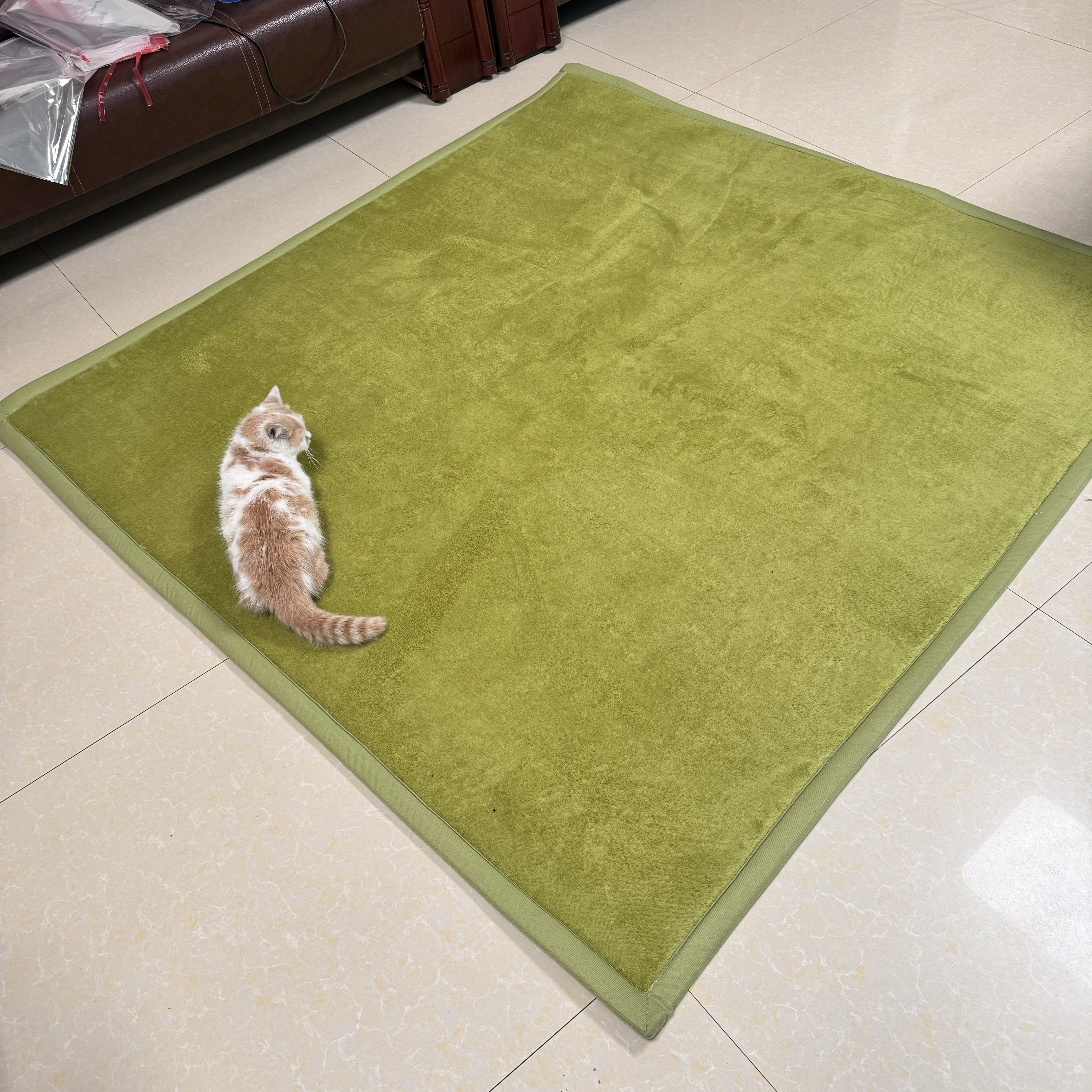 How Shag Green Carpet Enhances Interior Aesthetics and Comfort?