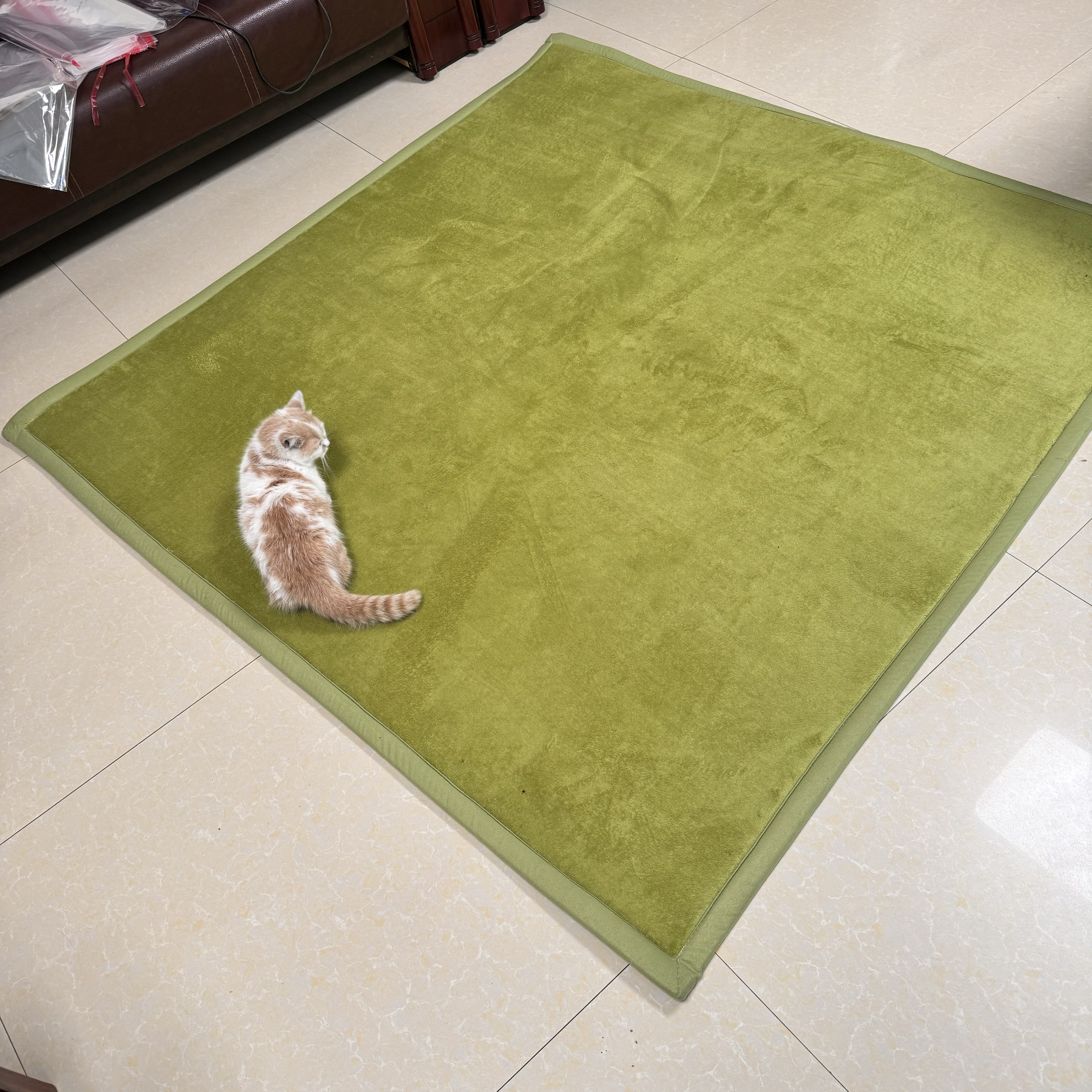 Where to Buy Eco-Friendly Shag Green Carpet Options?