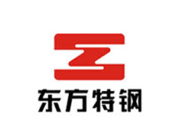 Partner 5