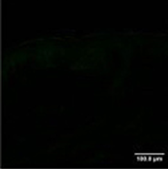 product_pic_text2-1