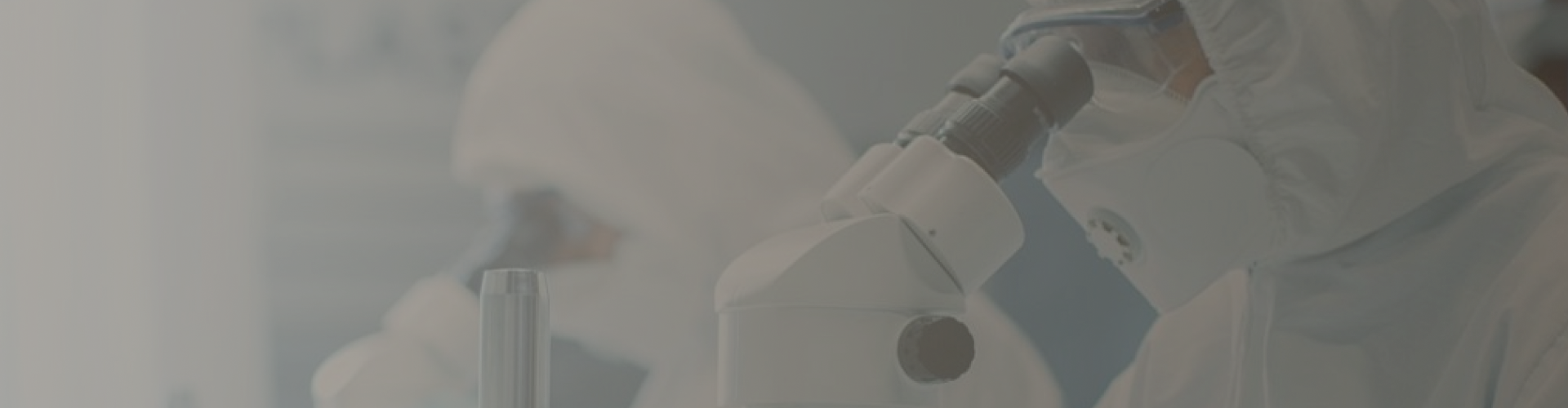 Exosome Product Solutions Overview