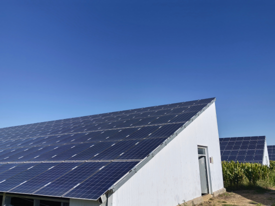 Solar Glass Prices Rebound: What 2.0mm and 3.2mm Buyers Should Know (September 2026)