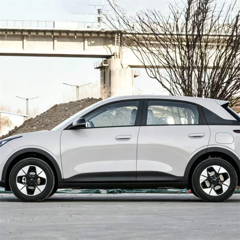 National Sales Champion, A Colorful Choice — Geely Xingyuan
