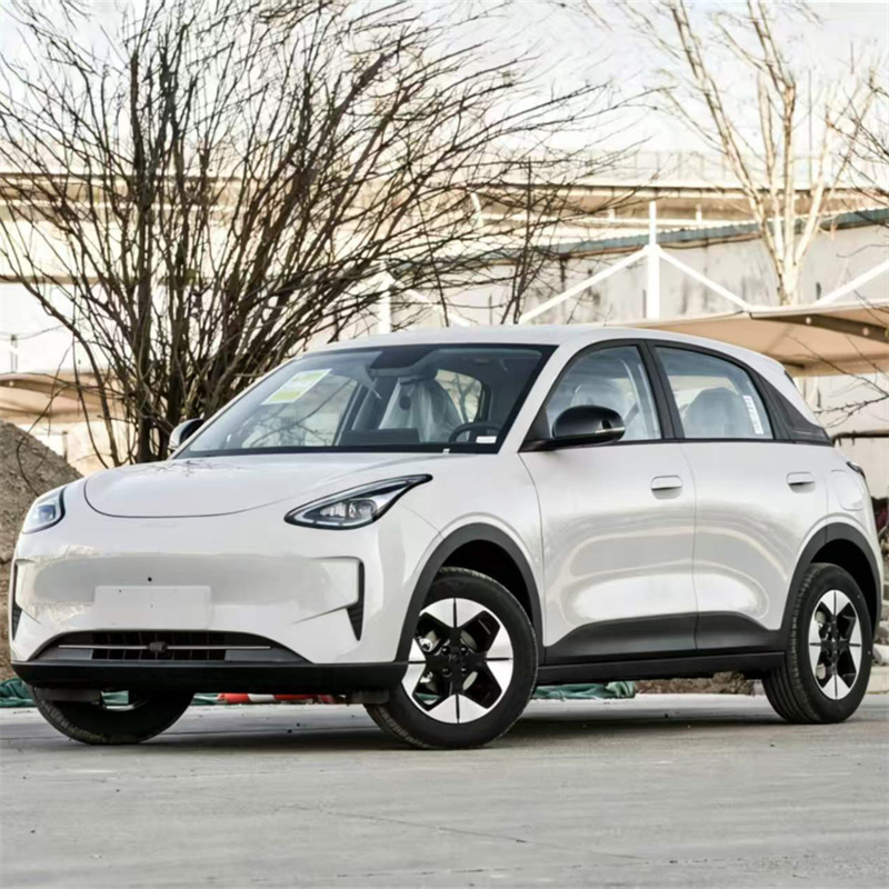 National Sales Champion, A Colorful Choice — Geely Xingyuan