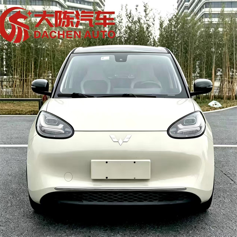 Wuling Bingo 333km Enjoy Edition