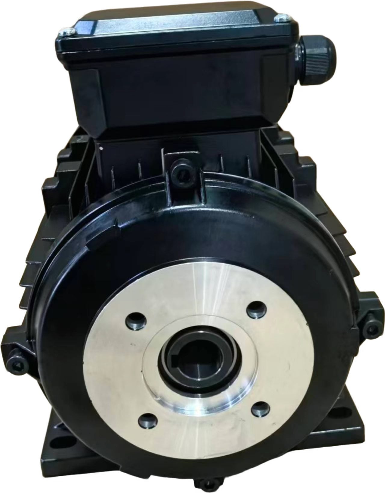 YE2 Series Three-Phase Induction Motors