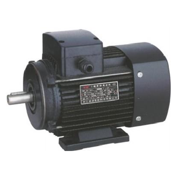 YE2Grundfos Aluminum Casing Three-Phase Induction Motor