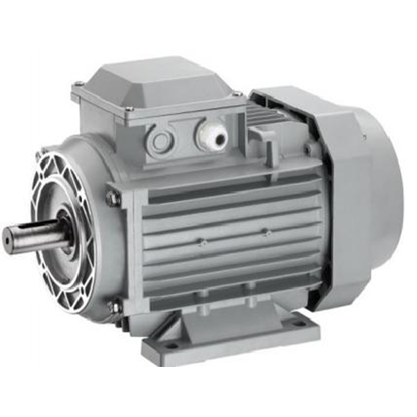 YE2 Series Three-Phase Asynchronous Motor (Square Frame)