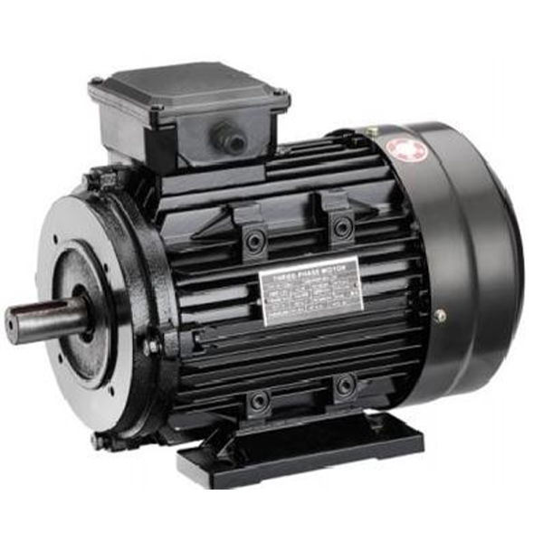 YE2 Series Three-Phase Asynchronous Motors