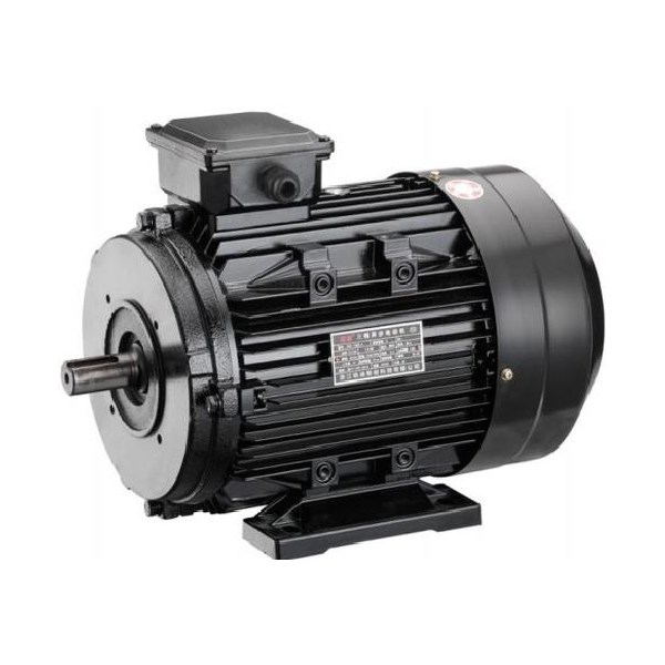 YE2 Series Three-Phase Induction Motors