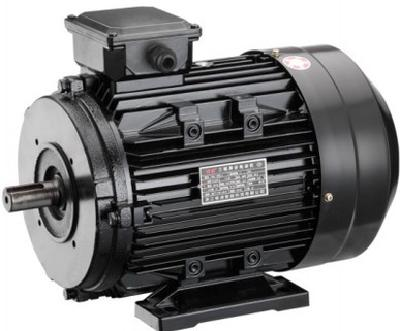 YE2 Three-Phase Induction Motor Series