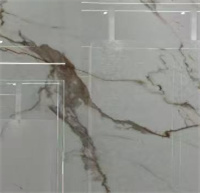 #3 Calacatta Gold Nano Glass 细节图.jpg