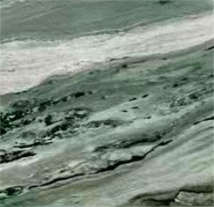 xijie (2).jpg