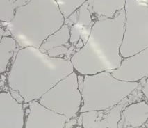 网纹白 3号 岗石 Calacatta white #3 细节图.jpg