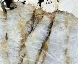 xijie (2).jpg