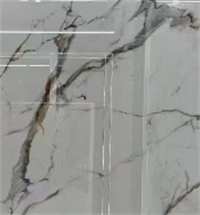 Calacatta Gold Nano Glass 细节图.jpg