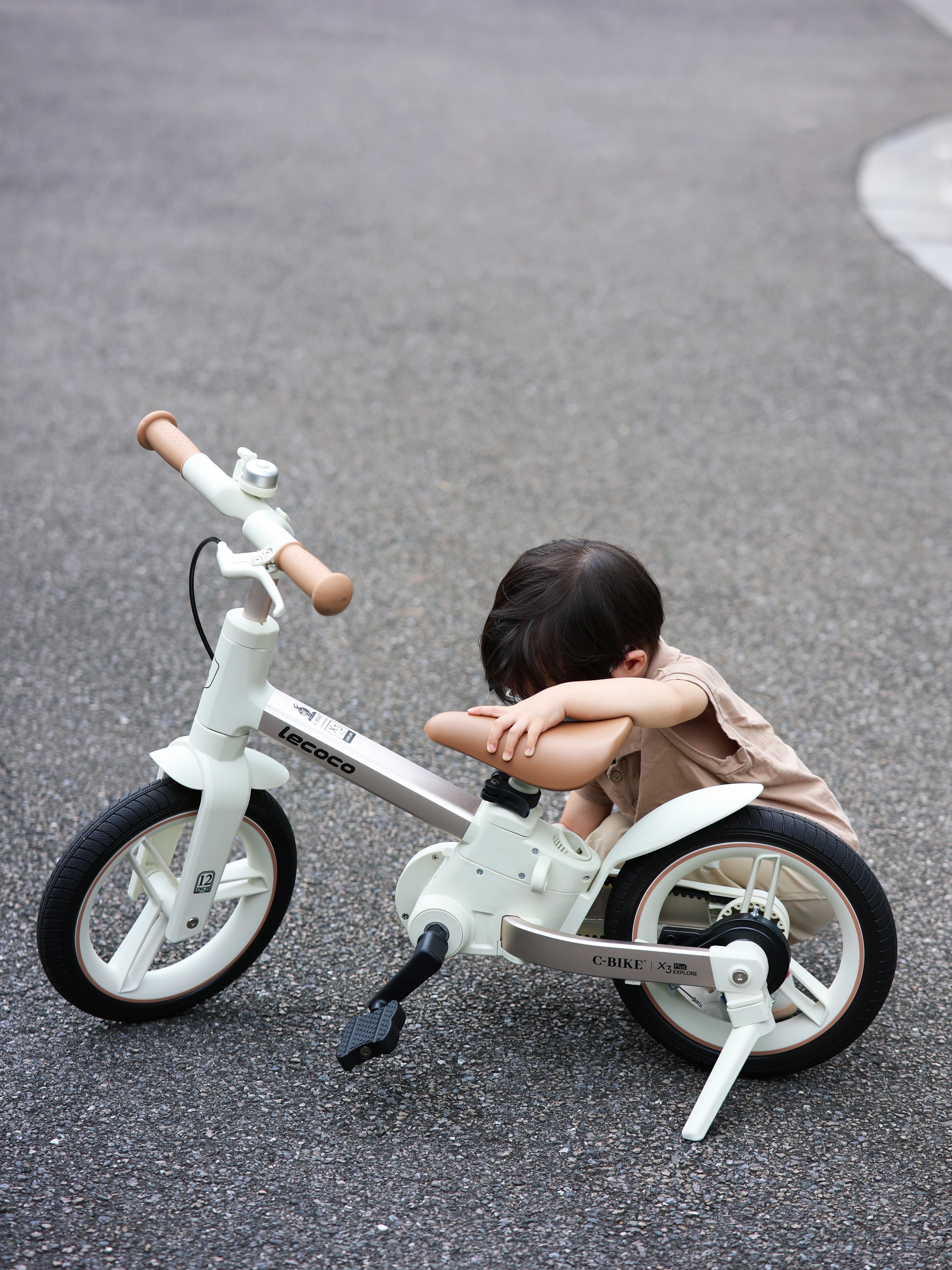 How Do Convertible Bikes Meet Global Safety Standards for B2B Buyers?