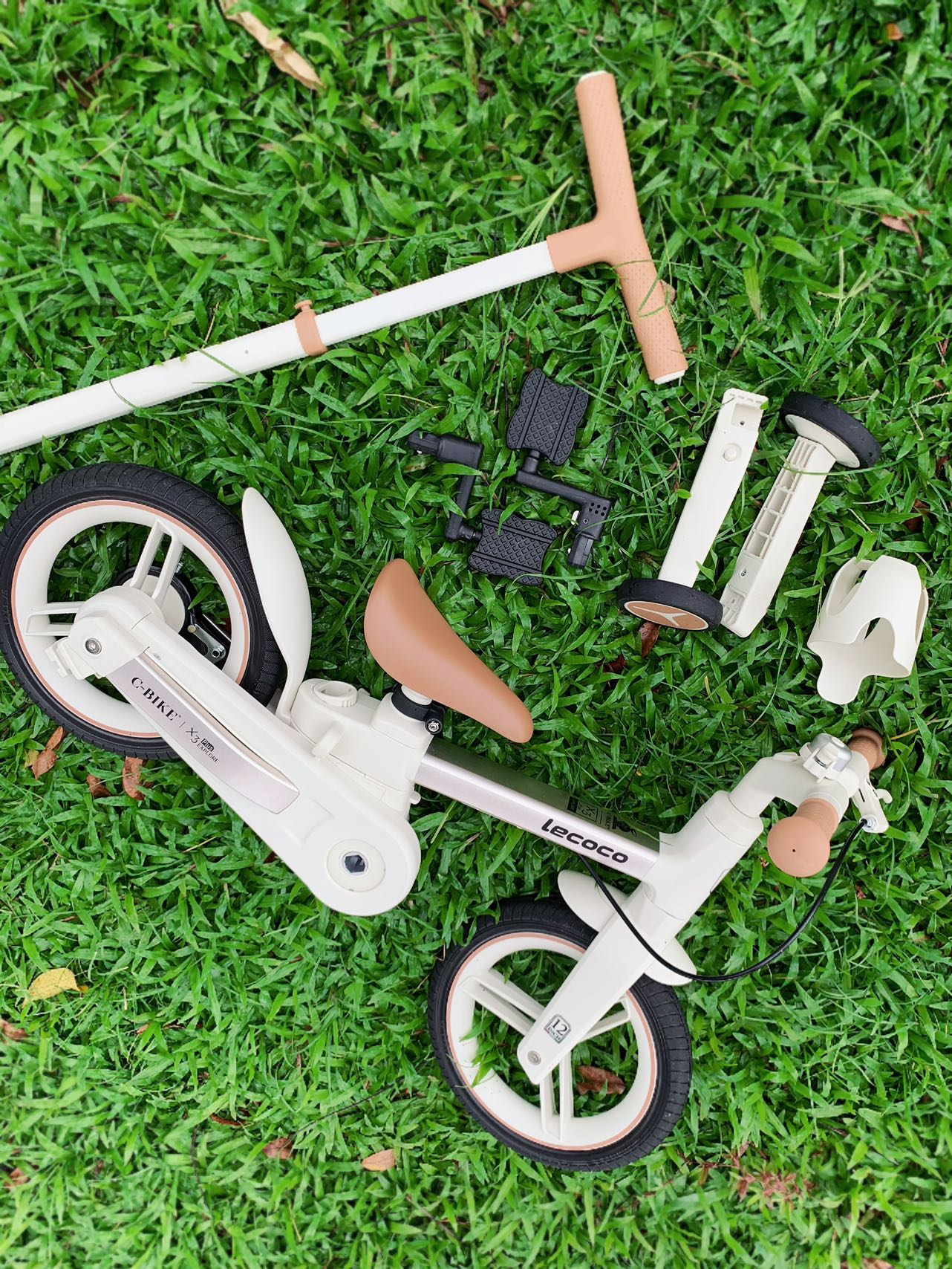 Why Are Convertible Bikes Gaining Popularity in International Markets?
