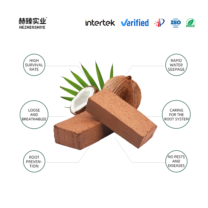 Coconut Coir Brick Uses and Benefits for Gardening