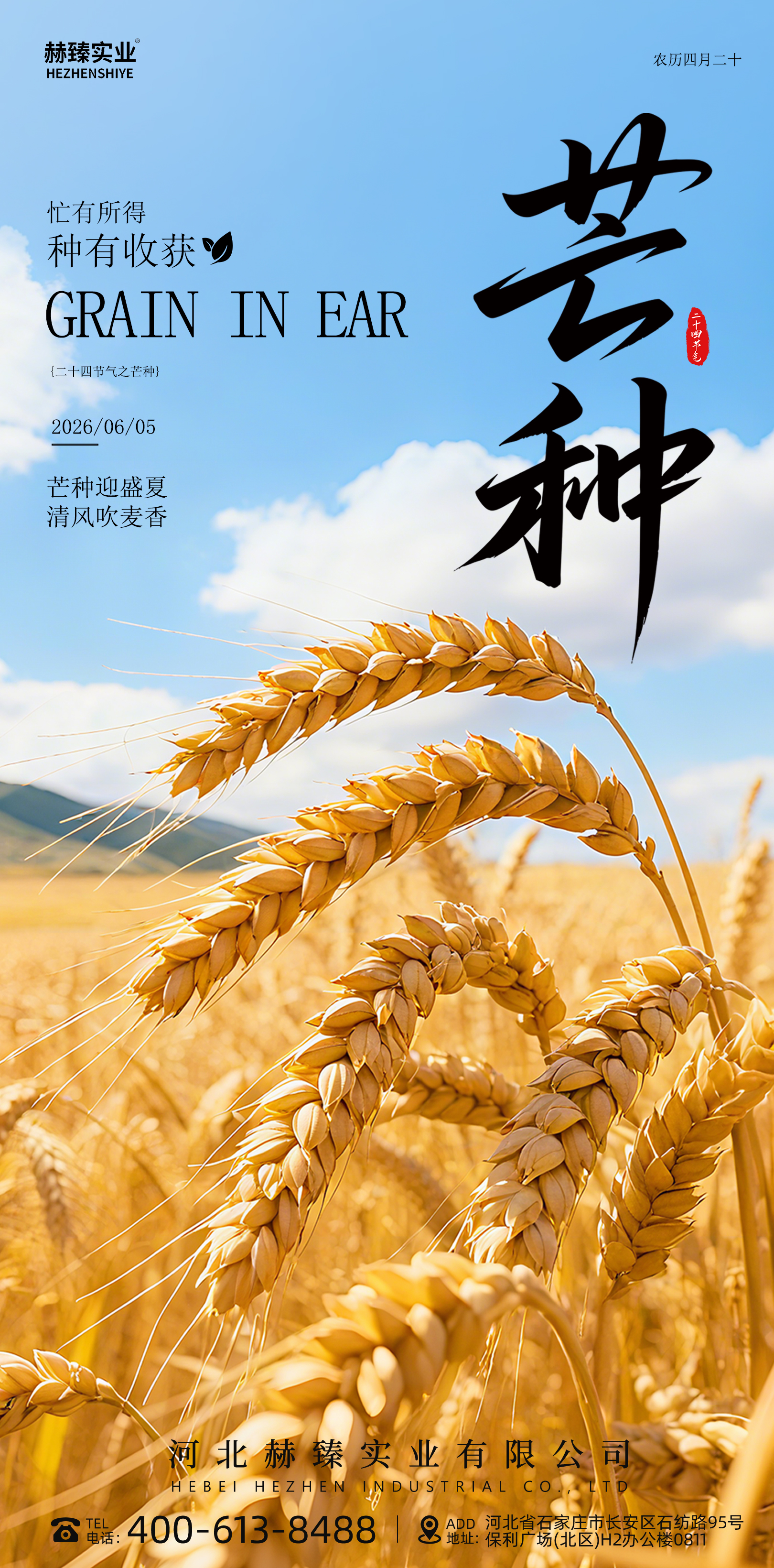Traditional Customs and Daily Life of Grain in Ear