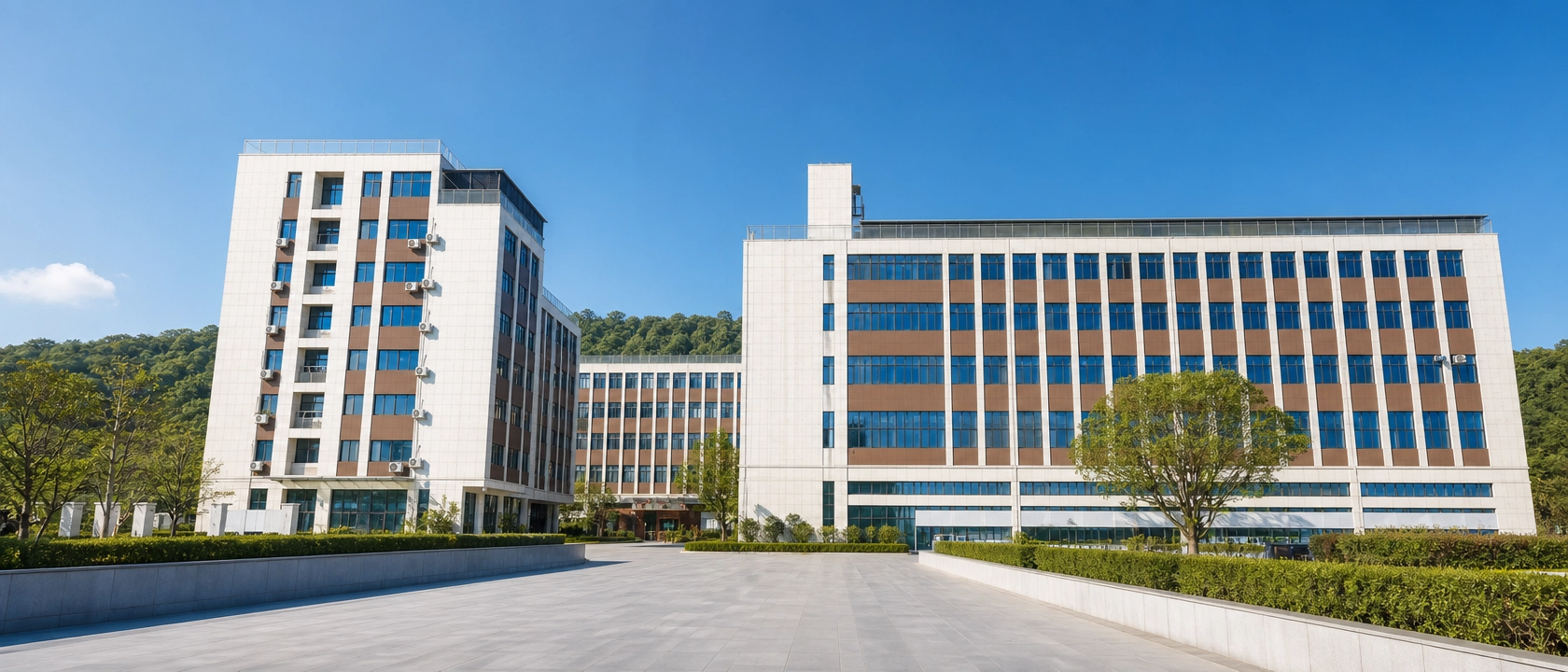 Zhejiang Wenhong New Materials Technology Co., Ltd