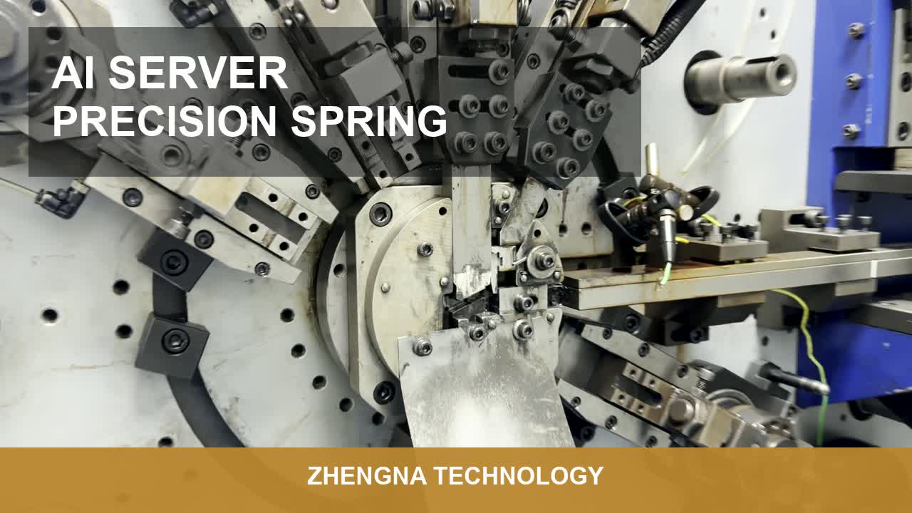 Custom AI Server Precision Springs