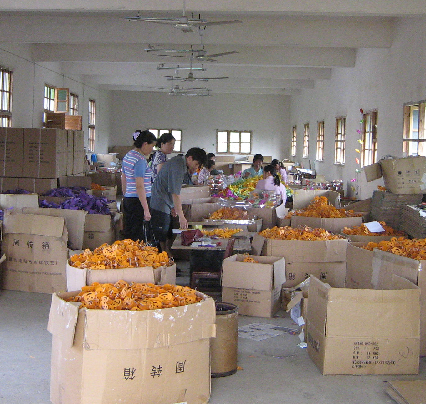 Halloween Pumpkin Lantern Production