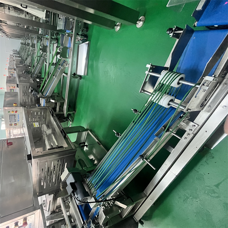 Secondary Packaging Machine-Secondary Packaging System