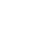 Scenario-Adapted Technical Execution