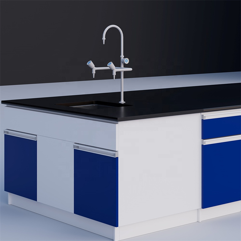 Anti-Corrosion Lab Workbench Ideal for Chemical Experiment Zones