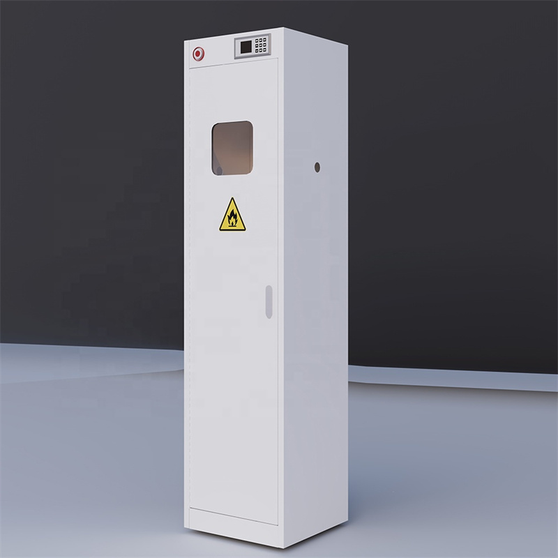 Secure Gas Cylinder Cabinet to Prevent Leakage and Accidents