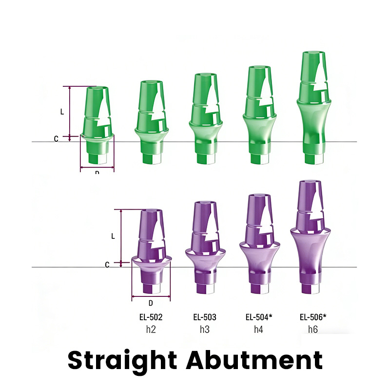 New Arrival C-tech Dental Implant Abutment China Factory OEM Fixture Components Cover Screw Transfer Straight Abutment