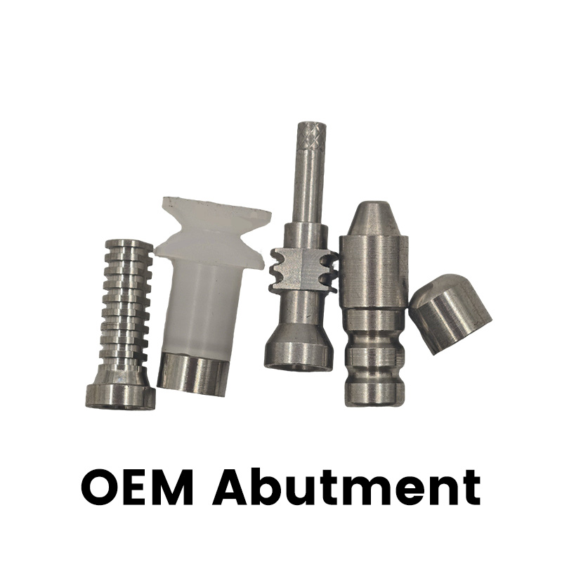 New Arrival C-tech Dental Implant Abutment China Factory OEM Fixture Components Cover Screw Transfer Straight Abutment