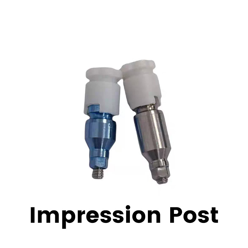 New Arrival C-tech Dental Implant Abutment China Factory OEM Fixture Components Cover Screw Transfer Straight Abutment