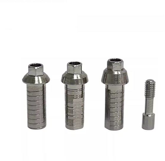 Dental Abutment Component OEM Service China Factory Transfer Abutment Healing Abutment SLA Dental Consumables Uesd for Adin