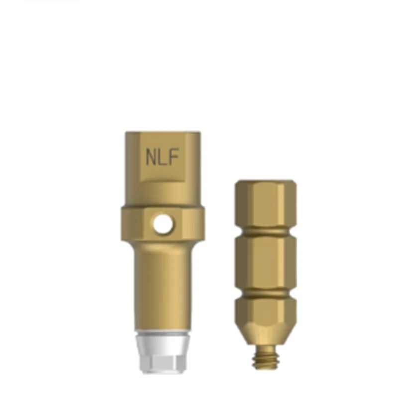 Can Premium Implant Components Extend Restoration Performance?