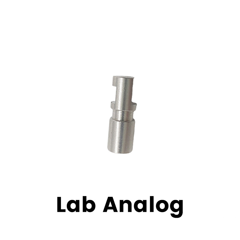 New Arrival C-tech Dental Implant Abutment China Factory OEM Fixture Components Cover Screw Transfer Straight Abutment