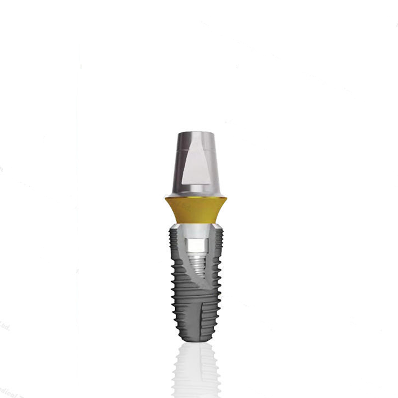 Extensive Product Variety and Customization Options