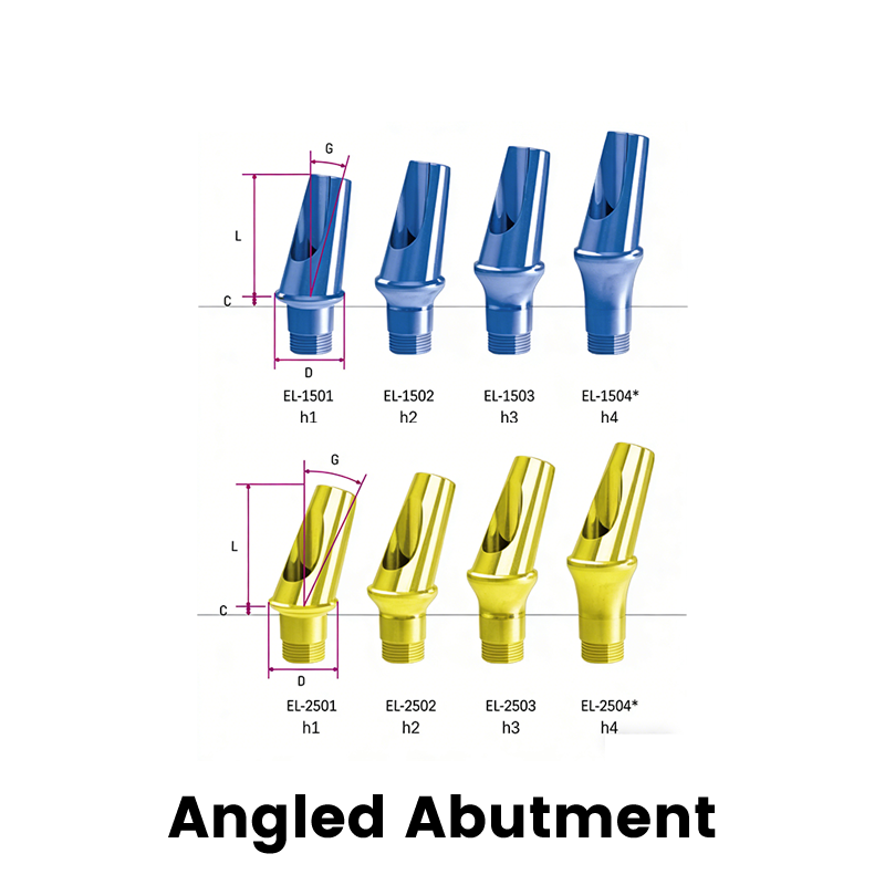 New Arrival C-tech Dental Implant Abutment China Factory OEM Fixture Components Cover Screw Transfer Straight Abutment