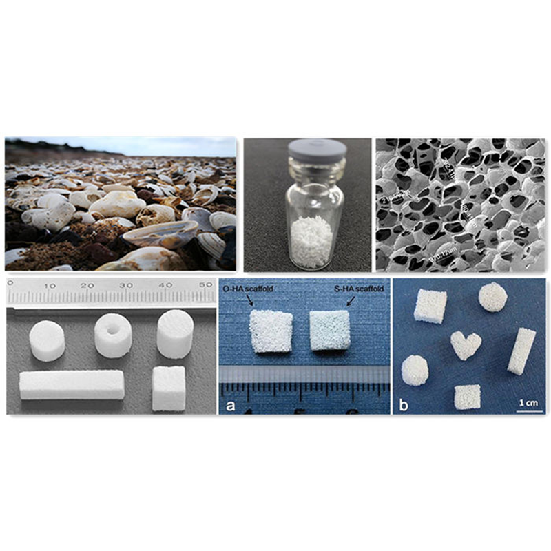 Biocompatible Materials and Safety