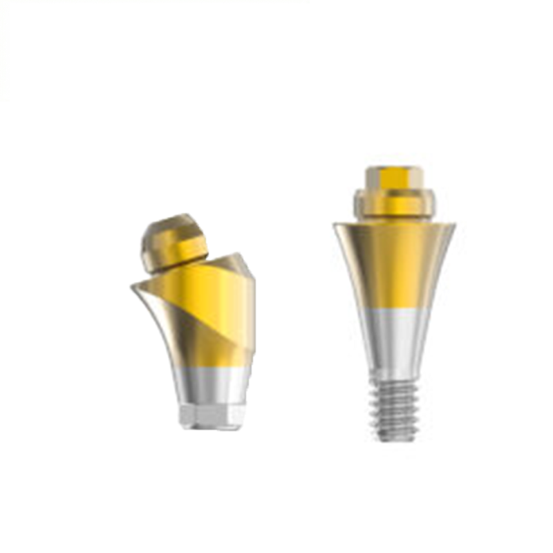 Dentis Implant Components Multi Unit Straight Abutment Cylinder/ Prosthetic Screw Titanium Abutment OEM Original Data