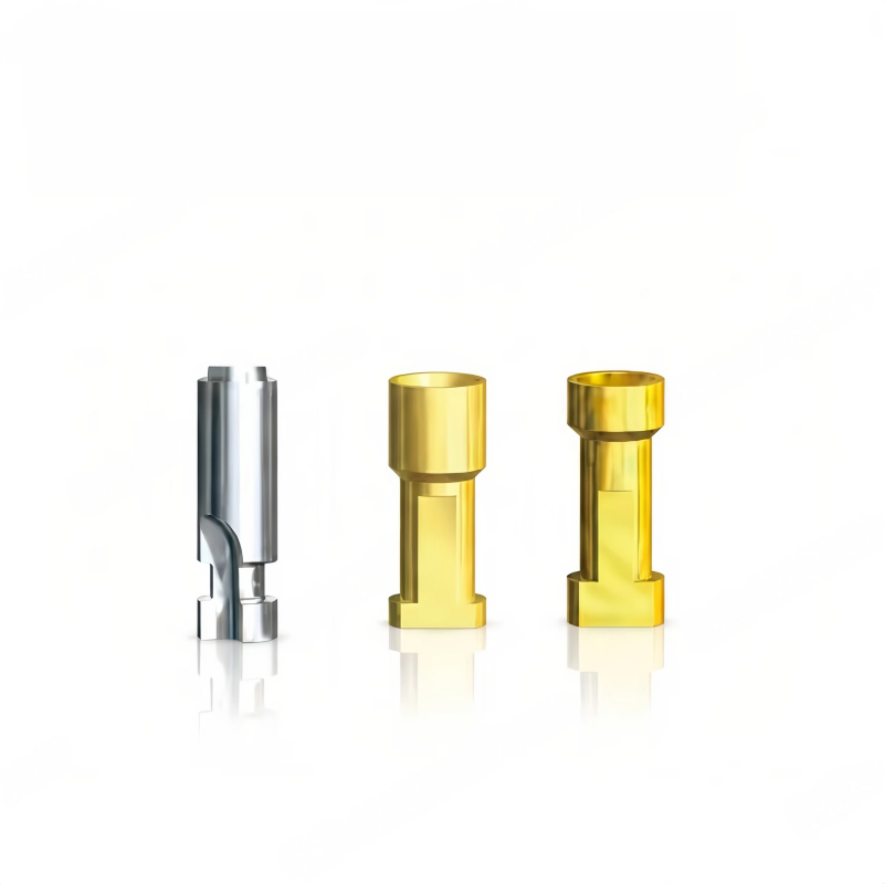 Nobel Dental Implant Abutment OEM Dental Fixture Healing Abutment Cementable Straight/Angled Abutment Impression Post Accessory