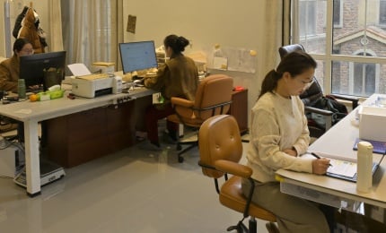 Professional Customer Service Team