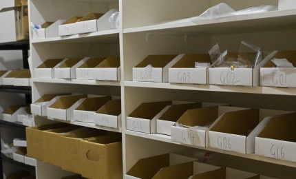 Constant Temperature Warehouse