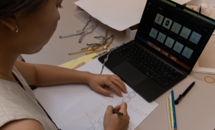 Professional Designer