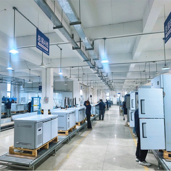 Premium OEM Reach-In Refrigerator Supply for Global Clients